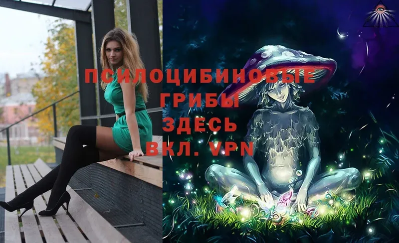 Псилоцибиновые грибы Cubensis  shop формула  Фролово 